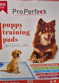 Resim Pro Perfeck Properfeck Köpek Pedi 60x90cm 10 Lu 