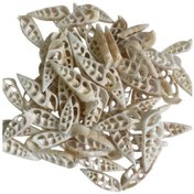 Resim Kesik Vertegus Kiloluk Deniz Kabuğu 1 Kg 