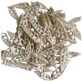 Resim Kesik Vertegus Kiloluk Deniz Kabuğu 1 Kg 