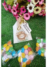 Resim 20 Adet Aslan Piramit Kutulu Hediyelik Bonibon - Bebek Hediyelik Çok Renkli 