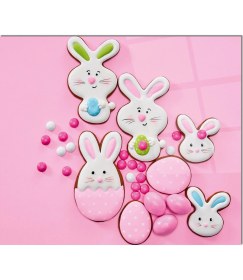 Resim Olinpa Cam Ocak Arkası Koruyucu | Tavşan 