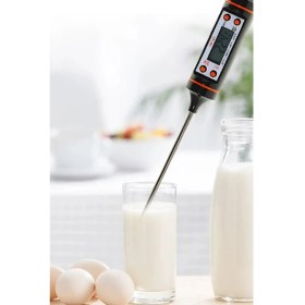 Resim Tekno İstanbul TP101 Ekonomik Fiyatlı Problu Termometre 