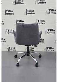 Resim Maki Çalışma Ve Çocuk Koltuğu Krom Yonca Ayak Koyu Gri 