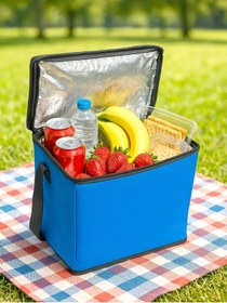 Resim Ankaflex Araç Içi Termos Buzdolabı Buzluk Serin Tutucu Piknik Çantası Kamp Plaj Çantası Soğuk Tutucu Termos 