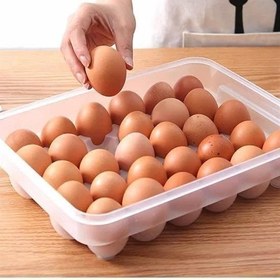 Resim 30lu Yumurta Saklama Kabı 