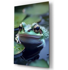Resim Kurbağa Hayvan Temalı Dekoratif Cam Tablo, Duvar Dekoru H0026 