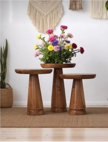 Resim AYLESA Doğal Ahşap 3’lü Set Mantar Yan Sehpa Modern Ceviz Renk Fiskos Zigon Çiçeklik 