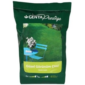 Resim Genta Prestige Güzel Görünüm Çim Tohumu 10 KG 