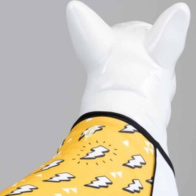 Resim FLASH DOG TSHIRT - 6 