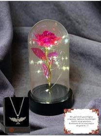 Resim Lapidaria Fanus Içerisinde Dekoratif Peri Led Işıklı Pembe Solmayan Sonsuzluk Gülü Lamba Ve Anka Kuşu Kolye 
