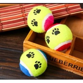 Resim Strongart Evcil Hayvan Eğitim Topu 3 Lü Set 