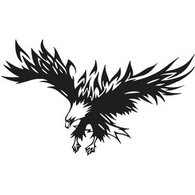 Resim Kartal Duvar Dekor Sticker 40 X 24 Cm 