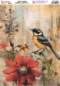 Resim Pirinç Dekopaj Kağıdı 30x42cm Pt-260 Kuş Çiçek 