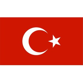 Resim Sticker Fabrikası Türk Bayrağı Türkiye Bayrağı Sticker 15 x 9 cm Renkli 