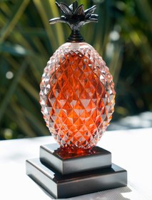 Resim Ananas Kitap Desteği - Amber 