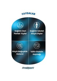 Resim Prosport Chunk Somonlu 6'lı Yetişkin Kedi Konserve Yaş Mama 400 Gr 6 