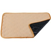 Resim 2 Adet 50x40cm Araba Evcil Hayvan Enjeksiyon Ped Su Geçirmez Ped Kedi Köpek Kanepe Su Geçirmez Diyafolik Halı Su Emici Ped Bej , Boyut:2 Adet 50x40cm 