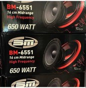 Resim 16Cm Bm Audio Bm-6551 650Watt Profesyonel Midrange Hoparlör Takım 