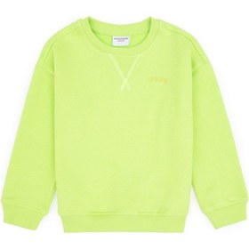 Resim U.S. Polo Assn. Erkek Çocuk Yeşil Bisiklet Yaka Basic Sweatshirt 50313829-VR020 