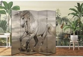 Resim Vahşi At Temalı Özel Tasarım Paravan Room Divider Oda Bölücü PRVN-1330-1, 220 x 180 