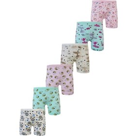 Resim 6lı Kız Çocuk Boxer Pamuklu Likralı Baskılı Renkli Boxer Karışık 