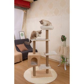 Resim Raikou Lissa Kedi Tırmalama Alanı 