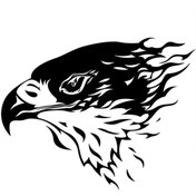 Resim Kıvırcıkyoga Siyah Kartal Oto Motor Laptop Duvar Folyo Sticker 10 x 7 