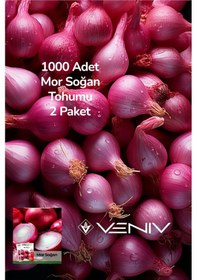Resim 1000 Adet Mor Soğan Tohumu 2 Paket 