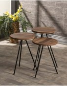 Resim Zigon Sehpa Ve Orta Sehpa Set Metal Elips Ceviz 