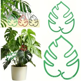 Resim Chuangyinshop Yeşil Bambu Monstera Bitki Destek Çubuğu, Hidroponik Dal Sabitleyici Ve Saksı Klipsi 