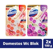 Resim Domestos Tuvalet Bloğu Aroma Lux Yıldız Çiçeği Ejder Meyvesi 100g Hibiskus Kırmızı Meyveler 100g 