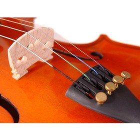 Resim Stentor 1018/E Standart Keman 1/2 