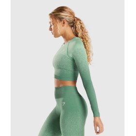 Resim Gymshark Ombre Tayt 