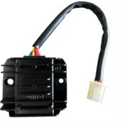 Resim Regülatör Cup 100 Ege 