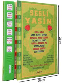 Resim Sesli Yasini Şerif - Rahle Boy - 224 Sayfa - Yeşil Renkli - Ayfa Yayınevi 