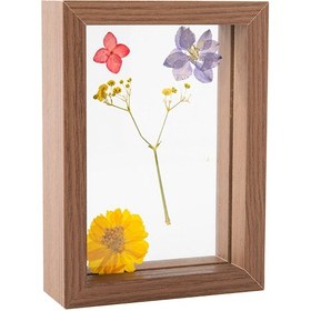 Resim Xiyyadms "ahşap Çerçeveli Kurutulmuş Çiçek Ve Yaprak Dekoratif Tablo - Çift Taraflı Cam" Ahşap Rengi Çok Renkli 