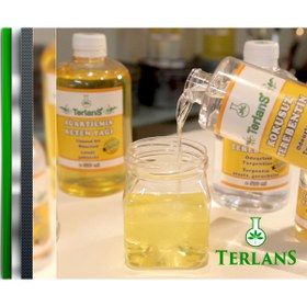 Resim Terlans Kokusuz Terebentin 1000 ml Odorless Oil Paint Thinner Tamamen Kokusuz 