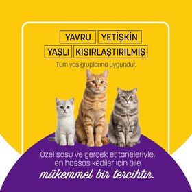 Resim PetzzCats Ton Balığı Midye Konserve Kedi Maması 1 Adet 70 Gr 