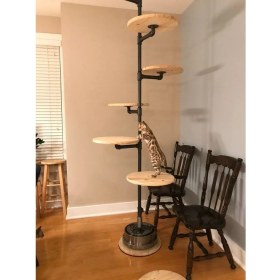 Resim Blbn Design Dekoratif Borudan Kedi Merdiveni 