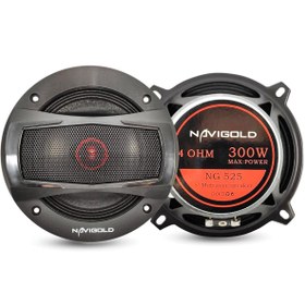 Resim Oto Midrange 300W 2 Adet Navigold NG-525 