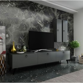 Resim Myniture Home & Living Festival Tv Ünitesi Q3819-4 Antrasit 