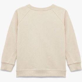 Resim Erkek Bebek Pamuklu Şardonlu Uzun Kollu Bisiklet Yaka Sweatshirt 