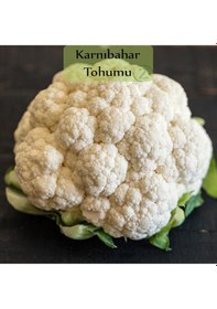 Resim 6 Paket Tohum No10 Kök Sebze Tohumları Karnabahar Turp Şeker Pancarı Tohumu Siyah Turp Tohumu ... 