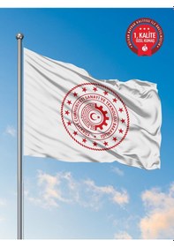 Resim Sanayi Ve Teknoloji Bakanlığı Kurum Bayrağı 70x105 Cm - Raşel Kumaş 1. Kalite 70 x 105 CM 