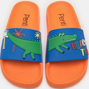 Resim Penti Erkek Çocuk Crocodile Renkli Terlik 