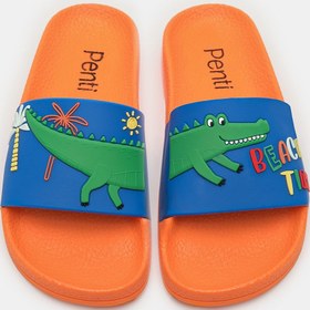 Resim Penti Erkek Çocuk Crocodile Renkli Terlik 