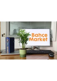 Resim Çizgi Desenli Saksı Tabaklı Mint 0,4 Lt 90 90 Mm 90208301 