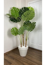Resim Yapay AĞAÇ MONSTERA BAMBU GÖVDELİ 150CM DEVETABANI AĞACI BÜYÜK BOY KIRIKBEYAZ RENK YALI SAKSIDA 