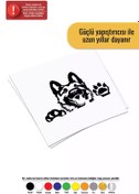 Resim Genel Markalar Tatlı Köpek Sticker Oto Motor Laptop Duvar Folyo Sticker 40 X 32 Cm 
