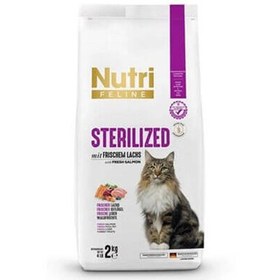 Resim Nutri Feline Sterilised Somonlu Tahılsız Kısırlaştırılmış Kedi Maması 2 Kg 